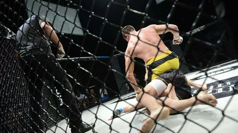 UFC/MMA